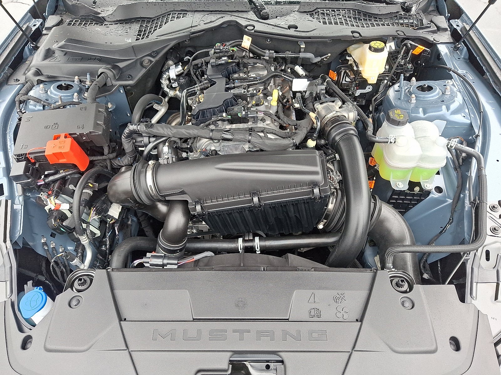 2025 Ford Mustang EcoBoost