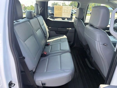 2024 Ford F-150 XL