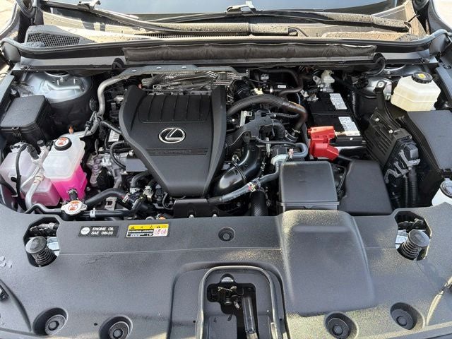 2025 Lexus RX 350